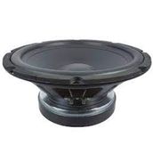 Lavoce SSF122.50L 12 inç Hoparlör