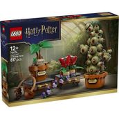 Lego 76474 Harry Potter Hogwarts Bitkibilim Bitkileri