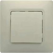 Legrand Salbei Bej Anahtar