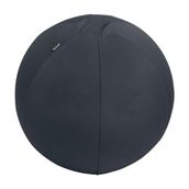 Leitz 65410089 Ergo Active 55 cm Koyu Gri Kaymaz Oturma Topu