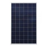 Lexron 295W Polikristal Güneş Paneli