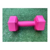 Leyaton 1 kg Pembe Dambıl Seti Ağırlık Seti
