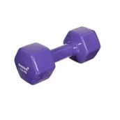 Leyaton 2x1 kg Mor Plastik Dambıl