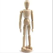 Linea 30 cm Model Erkek Mankeni