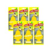 Little Trees Vanillaroma 6 Adet Oto Kokusu