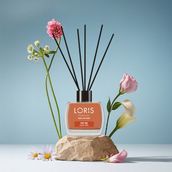 Loris 120 ml Elmalı Turta Oda Kokusu
