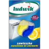 Ludwik Bulaşık Makinesi Koku Giderici