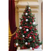 M3Decorium Yılbaşı Noel Yeniyıl Için En Büyük Uzun Bol Süslü Dallı 180Cm Çelik Ayaklı Ledli Yeşil Gür Çam Ağacı