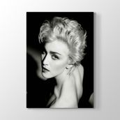 Madonna Louise Ciccone Tablosu