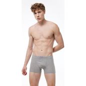 Malabadi 074 Gri Erkek Boxer