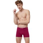 Malabadi 075 Bordo Erkek Boxer