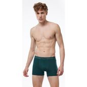 Malabadi 075 Yeşil Erkek Boxer
