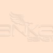 Marvy Artist Brush 1100-77 Pastel Peach Fırça Uçlu Kalem