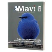 Mavi Gök Kültür Sanat Ve Edebiyat Dergisi Sayı & 8