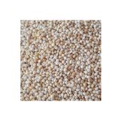 Mercanpetstore Ak Darı Sade Kuş Yemi 5 Kg Muhabbet Kuşu Hint Bülbülü Papağan Yemi