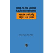 Meslek Edinilmiş Geçici İş İlişkisi - Duygu Çelebi Demir