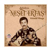 Mey İthalat Neşet Ertaş Zahidem Gönül Dağı Plak - Çok Renkli