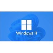 Microsoft Esd FQC-10572 Windows 11 Pro 32/64bıt Tr/Eng Lisans