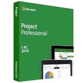 Microsoft Project Professional 2019 Elektronik Lisans