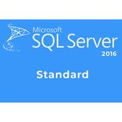 Microsoft SQL Server 2016 Standart Lisans