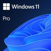 Microsoft Win 11 Pro ESD TR Paket