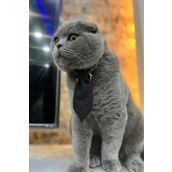Minikpaw aksesuar Kravat
