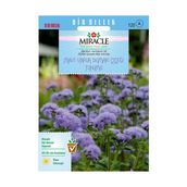Miracle Ageratum Mexicanum Mavi Vapur Dumanı Çiçeği 1000 Tohum