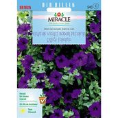 Miracle Eflatun Alderman Violet 800 Tohum Bodur Petunya Çiçeği
