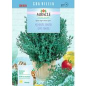 Miracle Kış Kekiği 200 Tohum