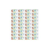 Molfix 36'lı Set 60 Yaprak Islak Havlu
