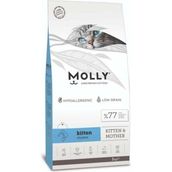 Molly 2 kg Tahıllı Hipoalerjenik Tavuklu Yavru Kuru Kedi Maması