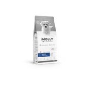 Molly Hipoalerjenik Somonlu Düşük Tahıllı Kısırlaştırılmış Küçük Irk 2 kg Köpek Maması