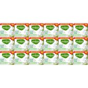 Molped Pure Soft Normal 18x46 Adet Hijyenik Ped