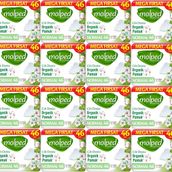 Molped Pure Soft Normal 24x46 Adet Hijyenik Ped