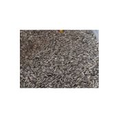 Moyashop 1 Kg Alaca Papağan Çekirdeği - Alacalı - Çekirdek - Kuş Yemi - Yem