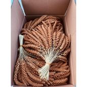 Murtcu Kızıl Dal Darı Protein Deposu Organik Kuş Yemi 1 Kg
