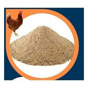 Narım 4 Kg Proteinli Özel Tavuk Ve Tüm Kanatlı Hayvanlar İçin Besi Ve Yumurta Yemi 4 Kg