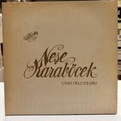 Neşe Karaböcek ‎- Canim Dinleyicilerim 1981 Baskı Lp - Plak