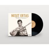 Neşet Ertaş Bozkırın Tezenesi 1 Plak