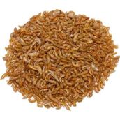 NetX Gammarus 50 Gr Kaplumbağa ve Balık Yemi