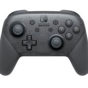 Nintendo Switch Pro Oyun Kumandası