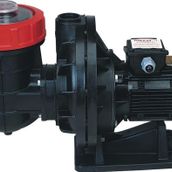 Nozbart 1 HP Monofaze İlk Seri Havuz Pompası
