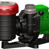 Nozbart Coşkun Serisi 1.5 Hp Trifaze Kendinden Emişli Havuz Pompası