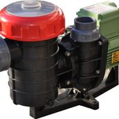 Nozbart Şirin Serisi Monofaze 3/4 HP Havuz Pompası