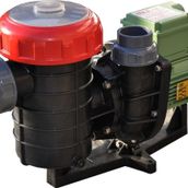 Nozbart Şirin Serisi Trifaze 1/2 HP Havuz Pompası