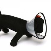 Nunbell 35,5 cm Elizabet Kedi ve Köpek Yakalık