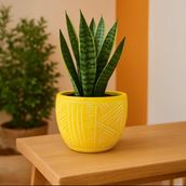 Objevi 13.5x12.5 cm Sarı Duvar Desenli Beton Saksı