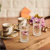 Odin 6'lı Kahve Yanı Bardağı Seti - 104 ml - Şeffaf