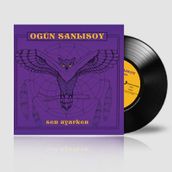 Ogün Sanlısoy - Sen Uyurken - Plak