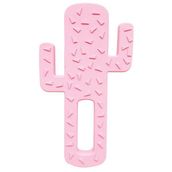 Oioi Pembe Diş Kaşıyıcı Kaktüs